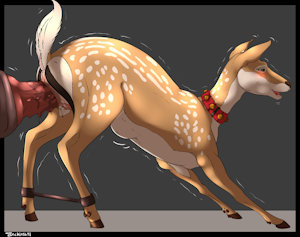 Full Fallow Jingle