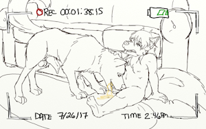 2154029_CookieFoxBrandon_brandoncomm10d.png