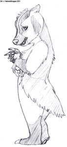 Badger Girl