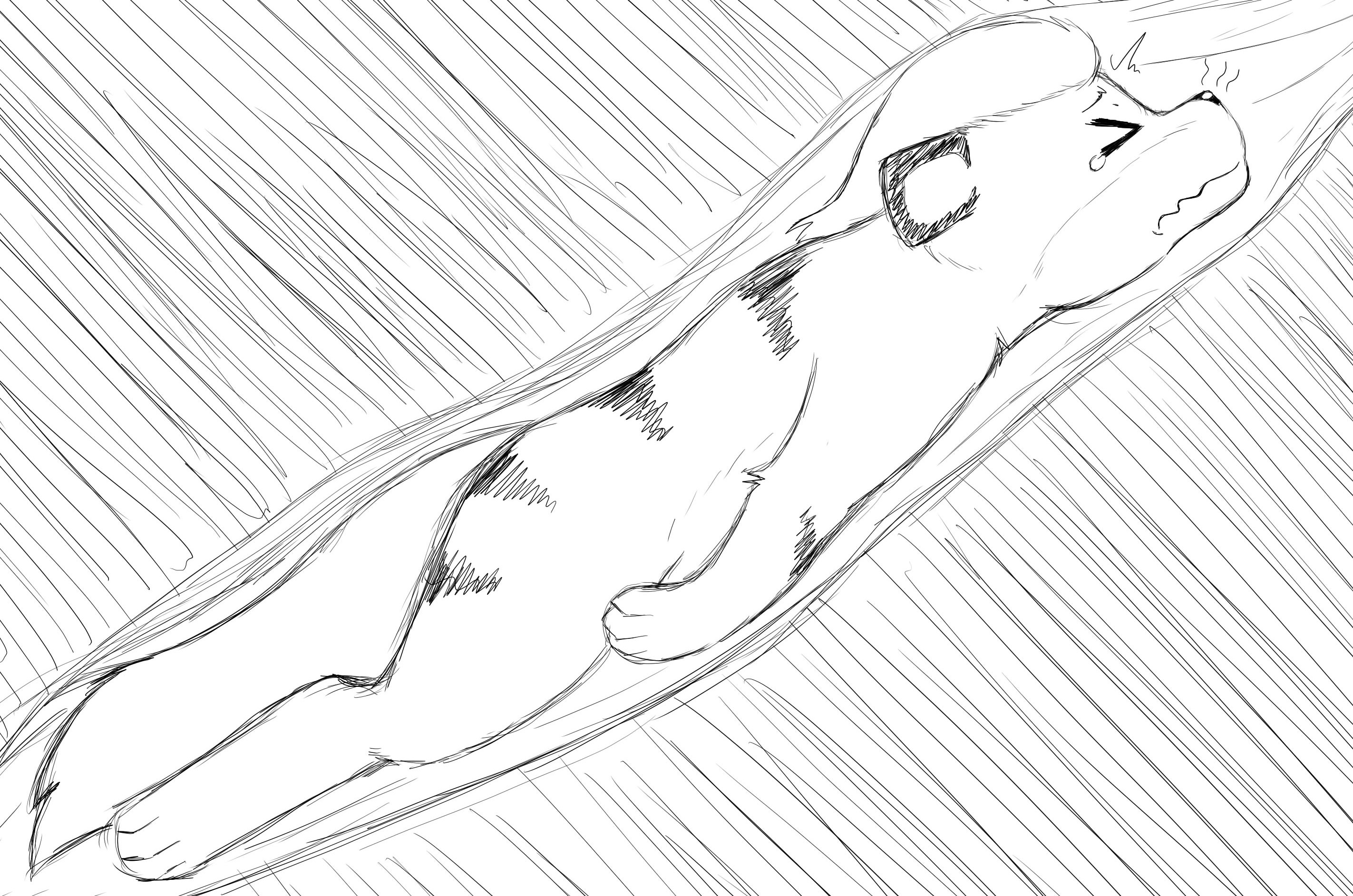 2173243_Animew_17.jpg