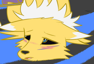 Lessons for Renamon