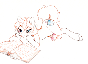 [Stream CM] The Excitement of Reading