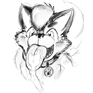 2193598_dakkawolf_procharcoalhusky.png