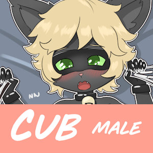 [Cub] Chat Noir