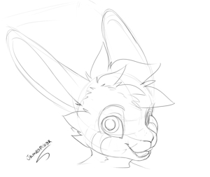 2201134_jamesfoxbr_notan_bunny.png