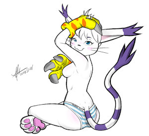 Shima Gatomon!!! (これは暑い!!!!)