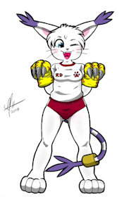 sport wear gatomon