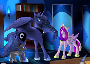 Meeting Cadance