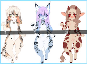 Adopt auction:Closed