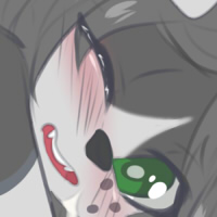 Comm:TylerCollie