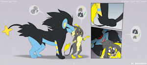 Power Bottom Pg 1