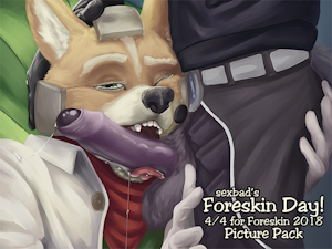 (4/4 Preview) Star Fox and His Dad