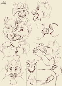 cock tongue sketches