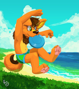 Frisbee