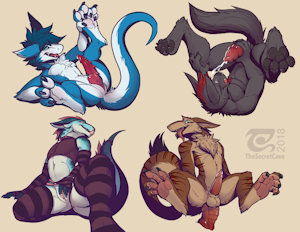 February request Stream