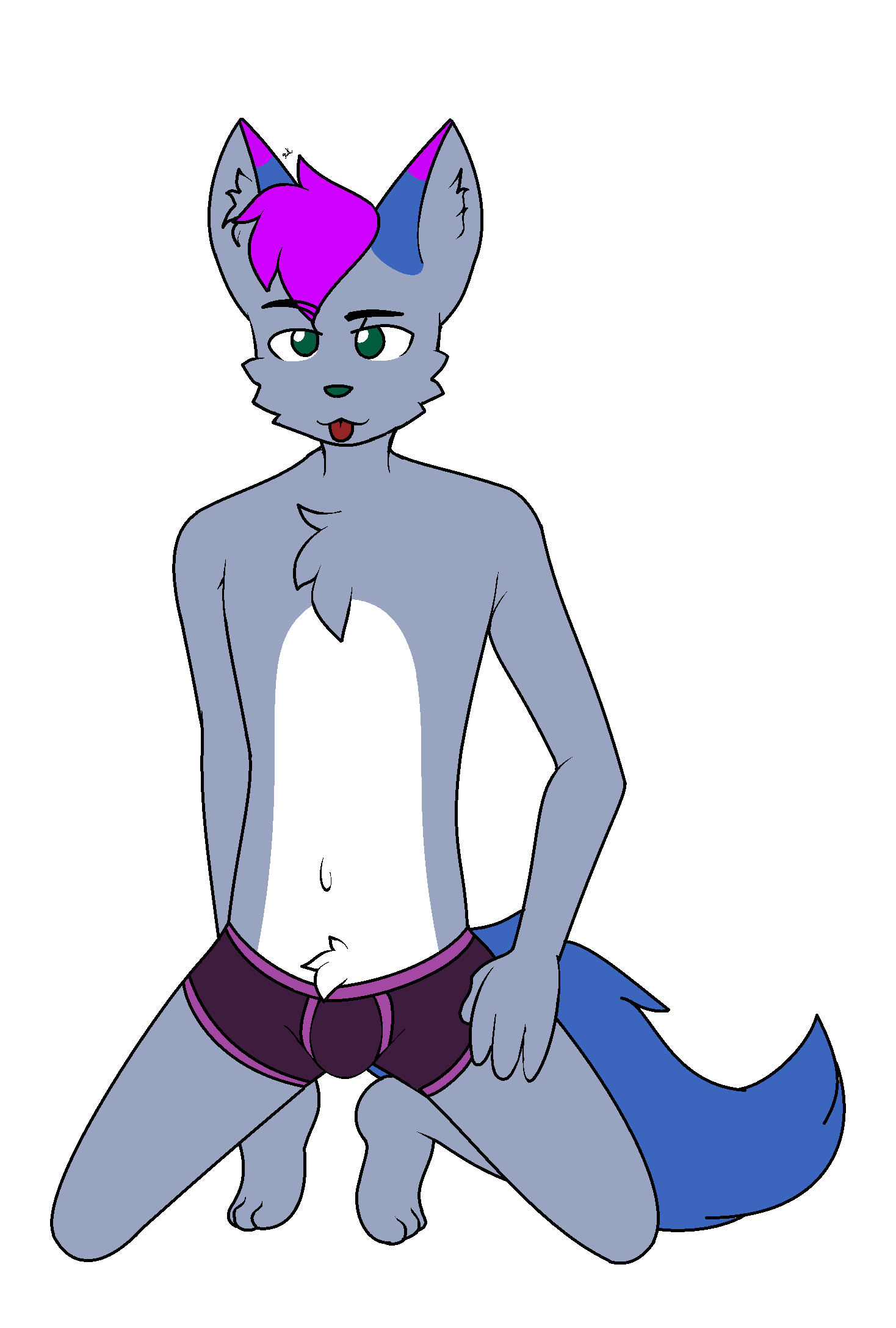 2249593_OneSharkyGirl_husker_request_my_color_desgin.png