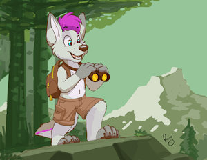 The little explorer