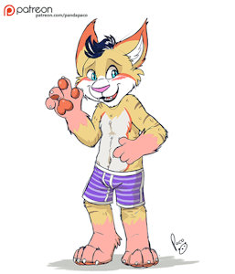 2254410_pandapaco_494_socks_boxers.jpg