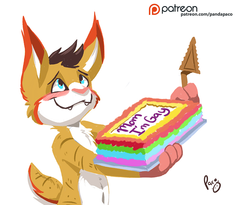 2254427_pandapaco_492socks_gay.jpg