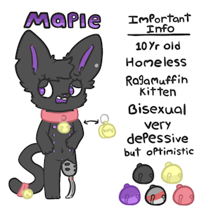 Maple Ragamuffin