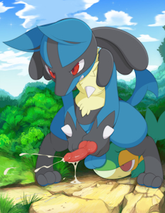 Lucario Used Bulletseed