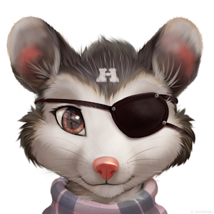 Possum Pirate