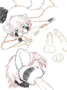 Practice Compilation