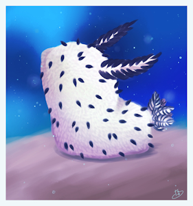 Sea Bun painting
