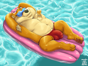 (Collab) Tasmanian Dad Bulge