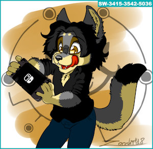 2321561_zooshi_zooshi_switch1.jpg