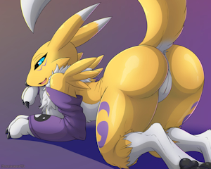 Your Renamon