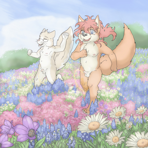 Over the fields and through the brook~