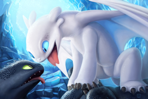 Toothless gets some