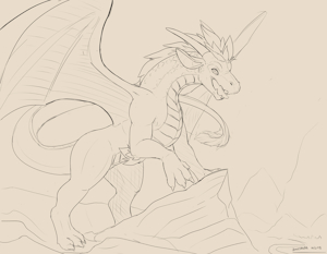 Here be dragons