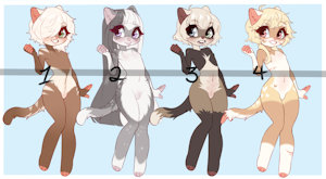Ferret Adopts:Closed