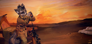 Soldier at sunset.
