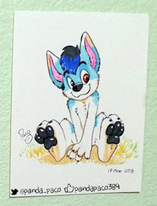 2344073_pandapaco_533_cloud.jpg