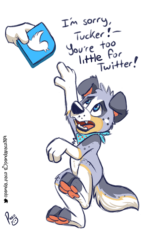 2344077_pandapaco_525_atucker_twitter.png