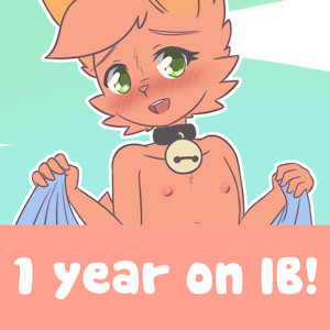 1 year already!