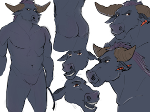 Ref sheet