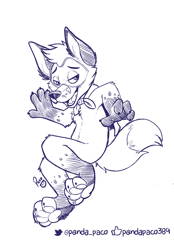 2364581_pandapaco_538forx_sketch.png