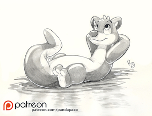 2364590_pandapaco_548kona_toy.png