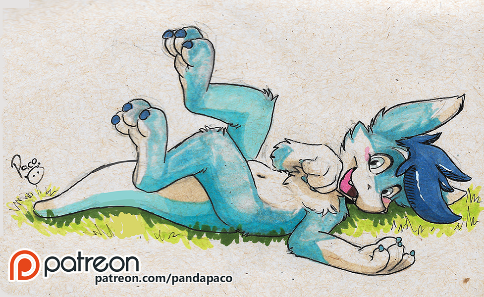 2364593_pandapaco_551soul01.png