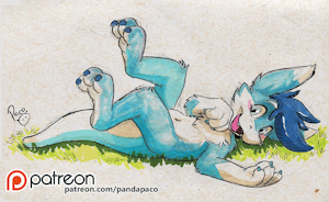 2364593_pandapaco_551soul01.png