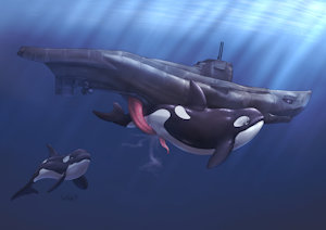 U Boot vs. Orca