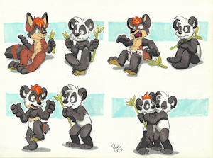Panda Transformation