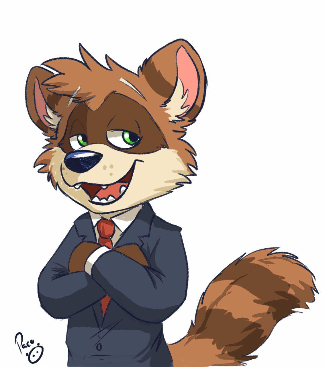 2396166_pandapaco_561dito_mapache.jpg