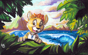 Between the jungle and the beach