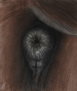 Glimpse