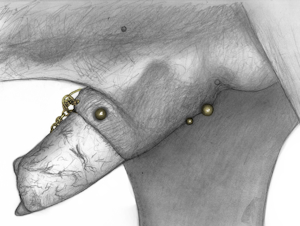 Pierced Poker